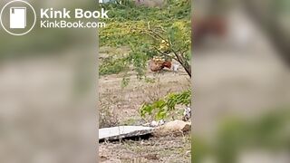 Pooping 1 - video 12