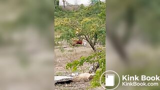 Pooping 1 - video 12