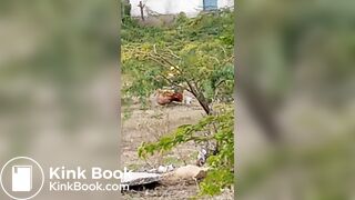 Pooping 1 - video 12