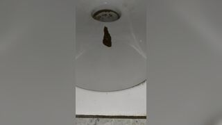 Chinese poop - video 25