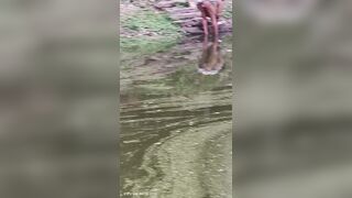 Aunty ko gaand dhone ke time pe dikha