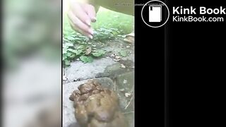 A thick turd in the yard..