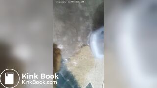 Pooping and peeing on the floor!