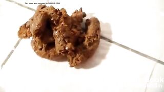 big pile of shit on the floor