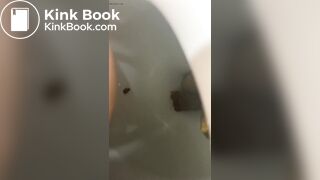 Sitting poop - video 6