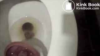 Mary Crap Poops in Public Toilet