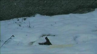 Relieving herself in the snow..