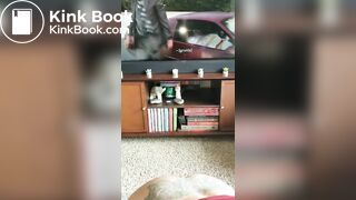 foundscat1
