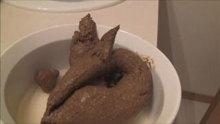 Famous lady poops a lot and making cookies