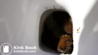 massive toilet shit