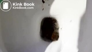 massive toilet shit