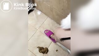 Live show piss and shit