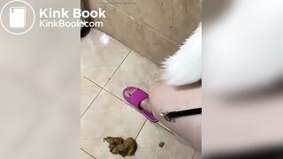 Live show piss and shit