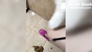 Live show piss and shit