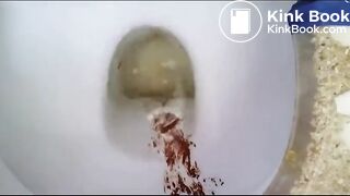 Three poops in sheer black panties