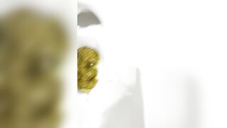 A GIRL FORGOT TO FLUSH