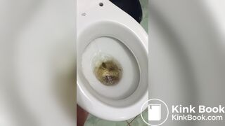 Woman tries to flush toilet, but feces won't go down