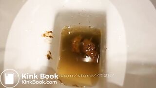 Women takes a shit in the toilet (compilation)