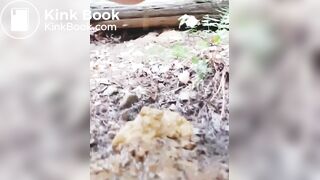 Korean girl pooping - video 14