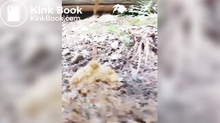 Korean girl pooping - video 14