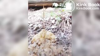 Korean girl pooping - video 14
