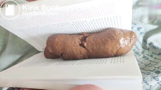 The Book Critic_ This book stinks!