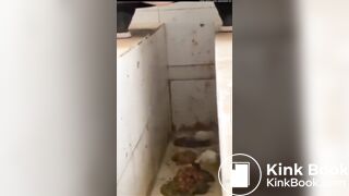 Girls poop in the toilet - video 2