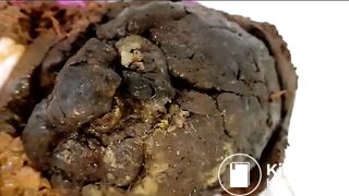 Triple panty poop - video 3