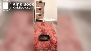 Ebony takes massive shit in container