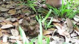 She Trying Her Best To Poop Out Turd