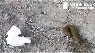 Japanese girl pooping outdoor - video 2