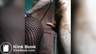 ebony fucked in shit ass part2