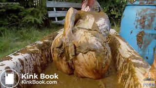 Busty babe masturbating in a bathtub full with cow shit