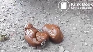 She poops on a trail in the woods..