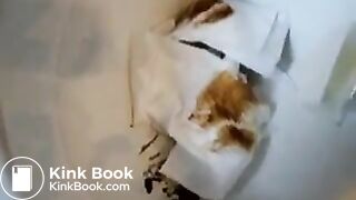 German lady smears poo.. alles sauber lecken!