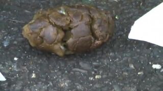 Nasty crack whore poops outdoors..