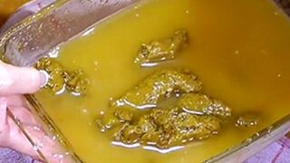 Scat Dish - Short-Cut