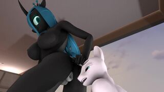 pony scat