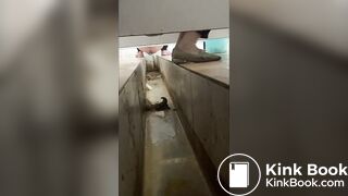 Chinese Shitting Special 3