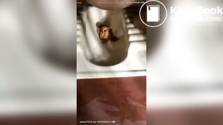 Desi aunty shitting in toilet