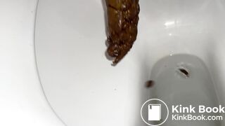 Long, soft and stinky turd