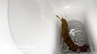 Long, soft and stinky turd