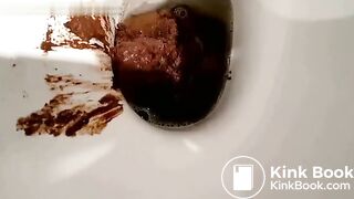 Fat log on the toilet