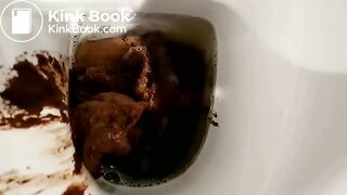 Fat log on the toilet