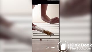 Pawg ass white chick shitting diarrhea on plate