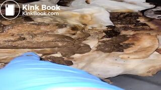 PortaPottyQueen - Human toilet used by train tracks