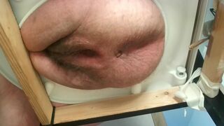 Huge and fat side view logs