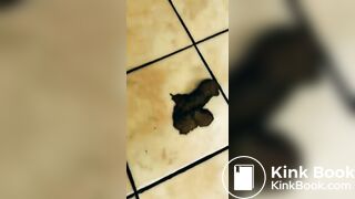 Black woman shitting on stall floor of public toilet - video 2