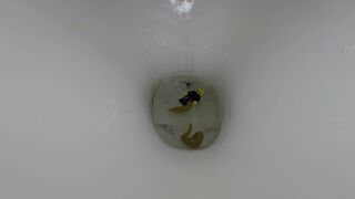 LEGO man vs Swedish blonde part 3