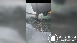 My Friend Poops For Me